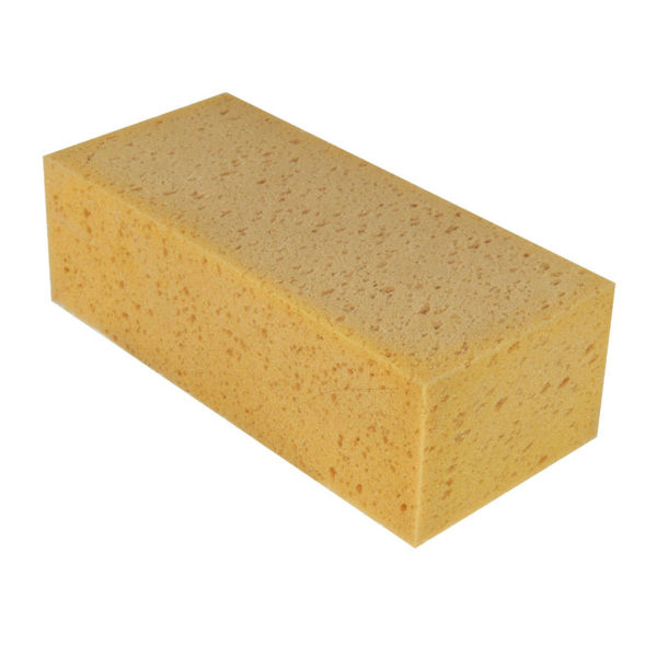 32000101.jpg