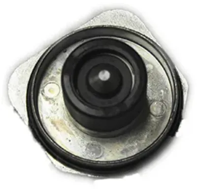 B1608195.jpg