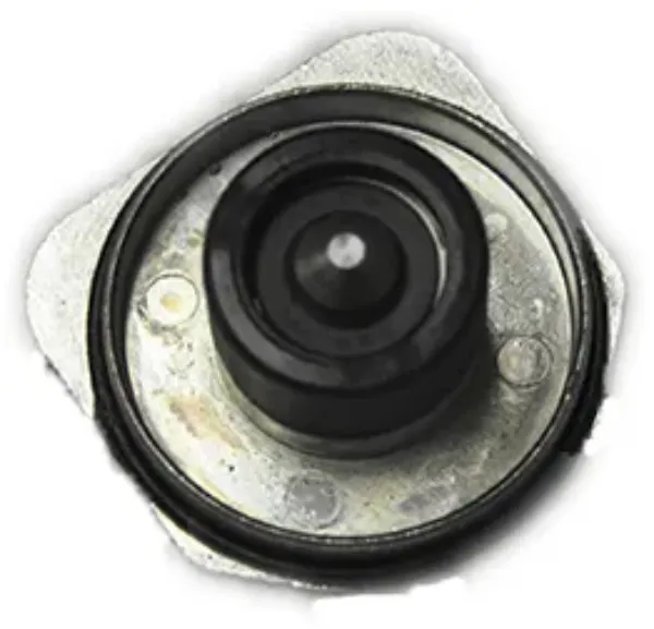 B1608195.jpg
