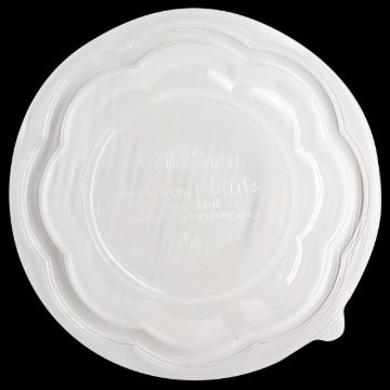 SBL-CS-32_01.png