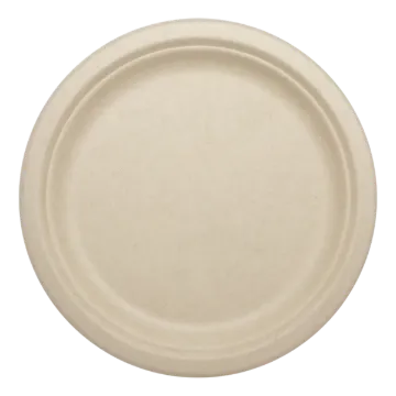 PL-SC-U9-LFP_01.png